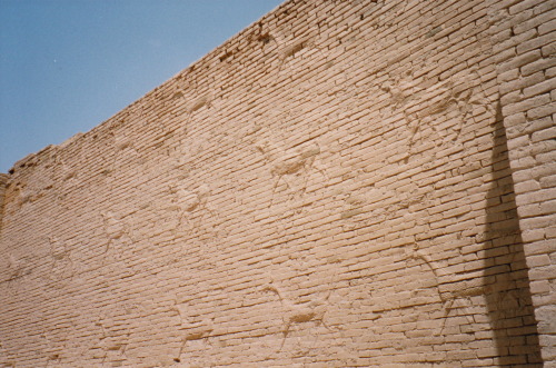Porn Pics jaws1303:  Ancient City of Babylon - Iraq,