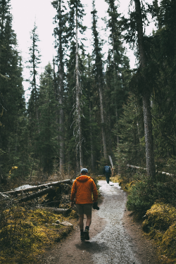 earth-dream:  Lake Louise Trail | Photographer