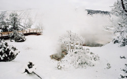 impuni:  winter in yellowstone by manyfires