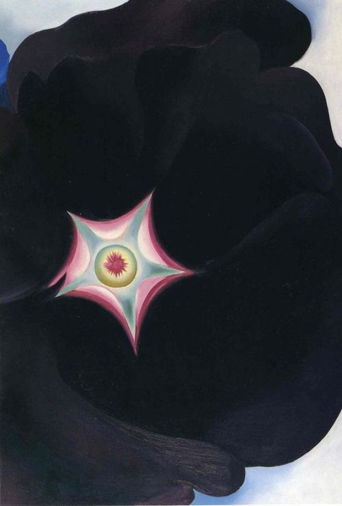 nobrashfestivity: Georgia O'Keeffe, Black Flower, 1929oil on canvasmore