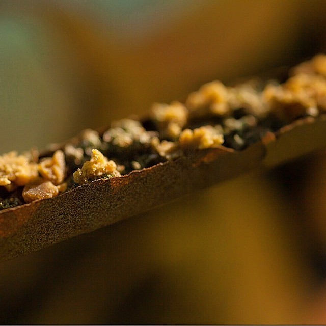 weedporndaily:  Concentration is important when it comes to rolling herb. It’s