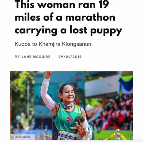 babyanimalgifs:7 miles in she found the puppy, finished the marathon and adopted the pupper.Via @run