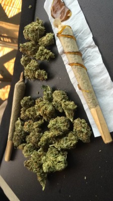 notoriouskush420:  Where are the homies at?