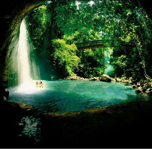 java-jungle:  heroinsight:   Serenity Falls, Buderim Rainforest Park, Queensland   Let nature heal y