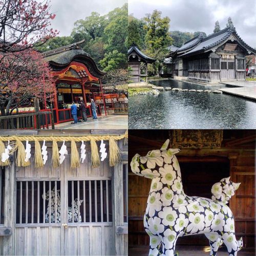 太宰府天満宮 心字池庭園 / 浮殿庭園 [ 福岡県太宰府市 ] Dazaifu Tenmangu Shrine Garden, Dazaifu, Fukuoka の写真・記事を更新しました。 ーー菅原