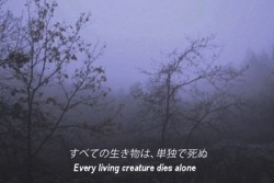 “讓我做法式熱吻之間你的腿”