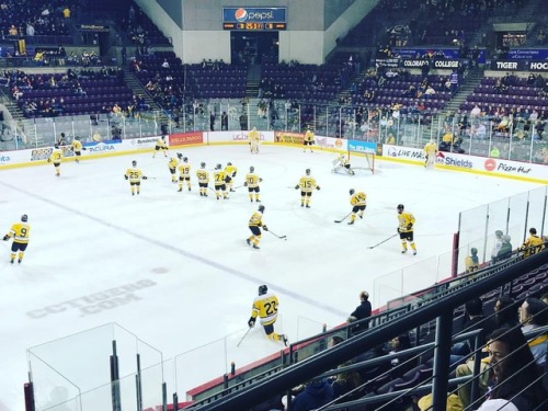 Film season starts ASAP !!! #coloradocollege #hockey www.instagram.com/p/BoO35bTArCZ/?utm_so