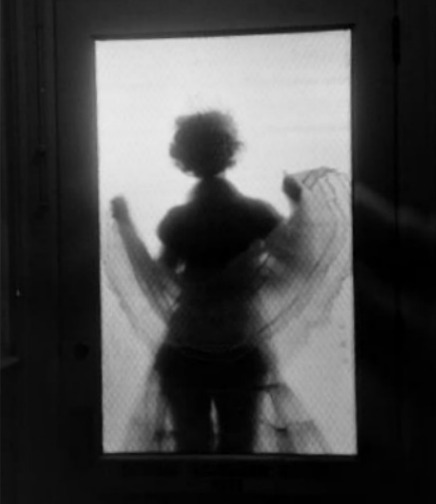 Girl in crinoline skirt through frosted glass adult photos