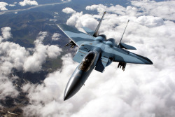 rocketumbl:  F-15 Aggressor 