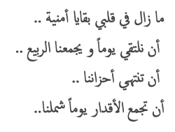 ما زال في قلبي حزن من بقايا لقائي الأخير بك..elyai