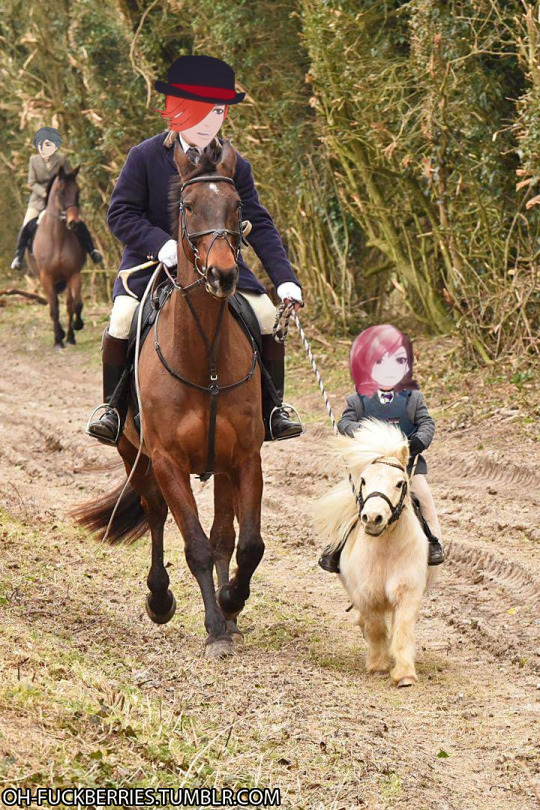 oh-fuckberries: a tiny horse for a tiny murder gremlin