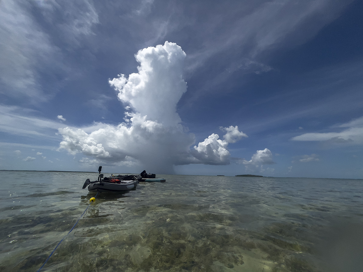 caaab1e3681ca2f086f7d81ad517748936389f5a