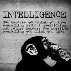 liberatingreality:  Honor your ability to think critically.   I love that you do, Sir. Â You have helped me to be more intelligent by example.