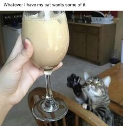 memewhore: