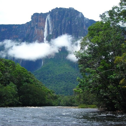 evanoesnadaespecial:  instagram:  Venturing into Venezuela’s Angel Falls To view more photos and videos from Angel Falls explore the Angel Falls location page and browse the #angelfalls and #saltoangel hashtags. Venezuela’s El Salto Ángel, or Angel