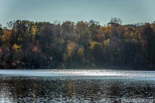 Plainsboro Audubon Preserve.  Plainsboro, NJ. ISO 800 | 80mm | f/5.6 | 1/3200 secPhoto © 2