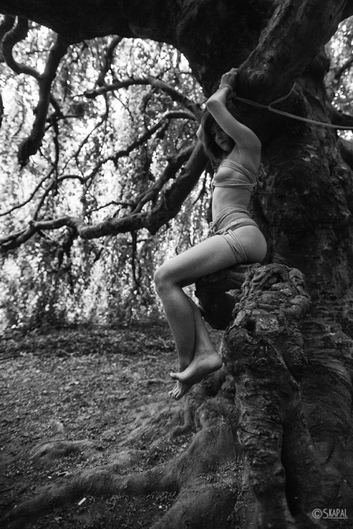 acordesetacris: The treeModel ElisabethR&amp;P Skapal Photography©