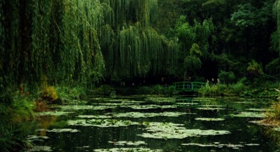 XXX etherea1ity:Monet’s Garden, Giverny, photo