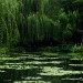 Porn etherea1ity:Monet’s Garden, Giverny, photos