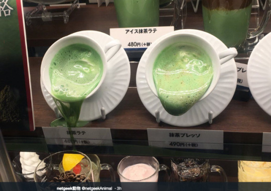 shoku-and-awe: hug-your-face:  “Sanpuru” Melts in Record Japan Heat San-puddle-ru.  (Kotaku) @shoku-and-awe @todayintokyo @stefaniewhat be careful out there.   That… is… wild… Luckily, Tokyo is having a few days of cool rain (I’m actually
