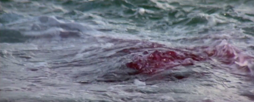 alfredsnightmare:Orca (Michael Anderson, 1977)