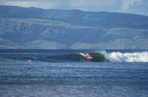 Mark Martinson at Honolulu Bay, Maui 1965.  Leo Hetzel ph