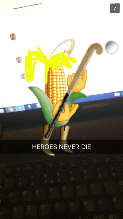 the-man-who-sold-za-warudo:  thefaygoprincess:   Cornwatch, courtesy of @fantrolls-on-purpose .    @kalmyovagina we’re all corn now lmaooo