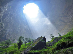 superbnature:  Sinkholes often spell disaster, but this unexpected limestone cavity is anything but. A botanical delight, this enormous sinkhole was discovered in central China’s mountainous Hubei province. The sinkhole’s remote location—only accessible