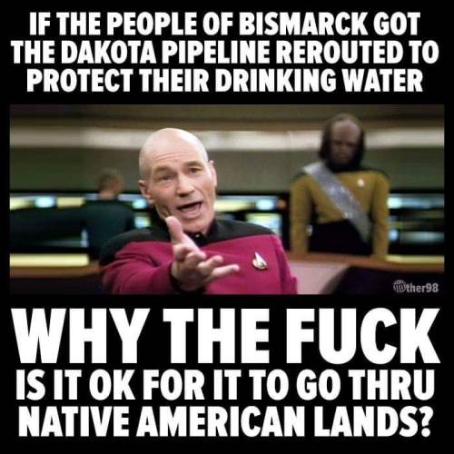 liberalsarecool:  Native tribes are the best environmentalists we have ever had and we continually abuse and attack them.  Think about this: it’s there land from before Europeans came here, and they are being charged with trespassing. 