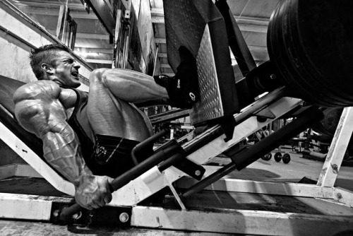 drwannabe:  Flex Lewis