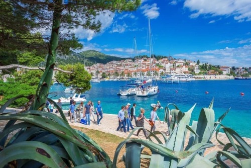 What is your favorite destination on the island of #Hvar - Click the link www.visit-hvar.com and fin