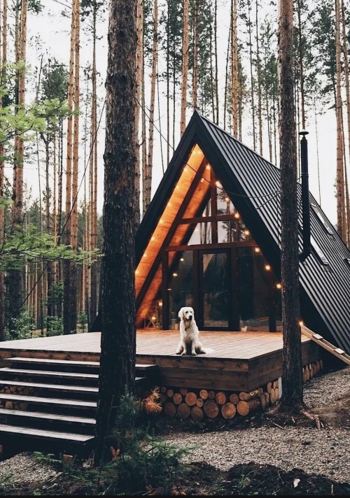 XXX hold-me-tightly:mr-e-us:An A-Frame…. photo