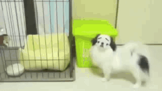 Oh No