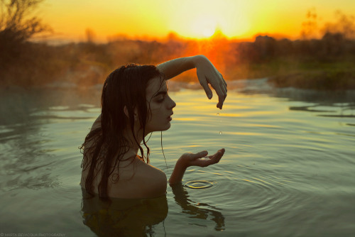 Marta Bevacqua