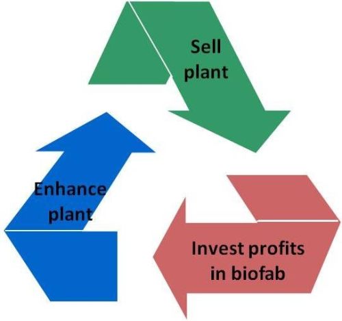 Virtuous cycle for sustainable improvement in plant luminosity