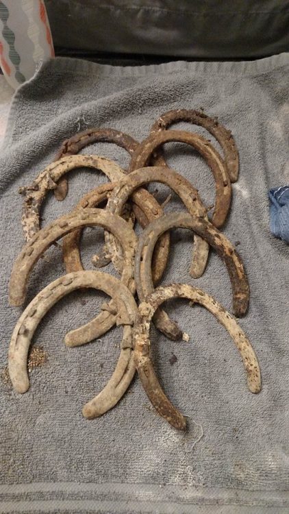 Got some old rusted horseshoes out of the field today. Pretty exciteddddd