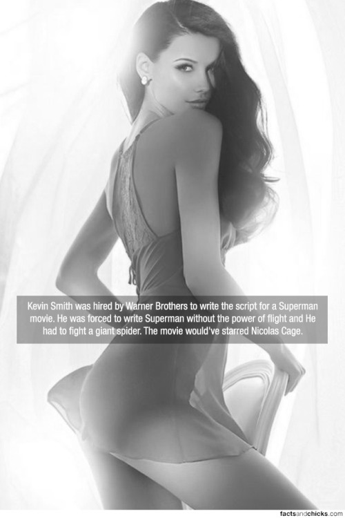 factsandchicks: Kevin Smith was hired by Warner Brothers to write the script for a Superman movie. H