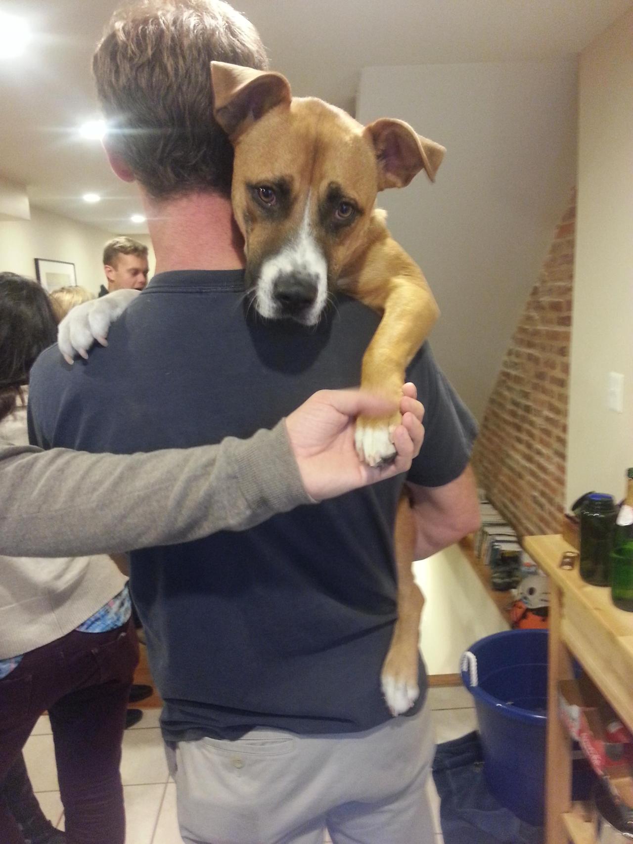 awwww-cute:  But Daaaaaad, I’m not tired