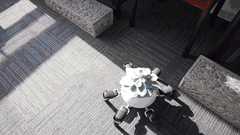 highlandvalley:  https://twitter.com/camparired/status/1019037639582760963/photo/1https://mymodernmet.com/little-robot-smart-planter/https://www.vincross.com/
