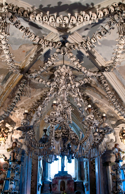 Sex syotos-x:  40,000 souls Sedlec Ossuary Sedlec, Kutná pictures