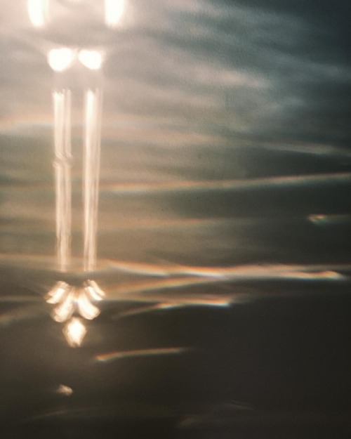 #spectralphotography
