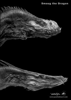 Mustang-Sauvage: Smaug Head Concept Arts By Paul Tobin 