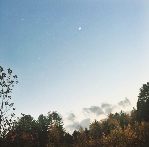 teacupsandcauldrons:What a captivating morning ✨