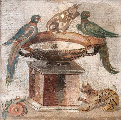 historyfilia:Roman pigeon mosaic from Capua Vetere, in the Museo Archeologico Nazionale in Naples