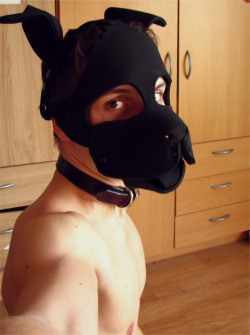 poundthadawg:bArk BaRk bARk!  | ↩ | ❌