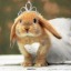 princess-poopsicle