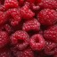 razzberrimango
