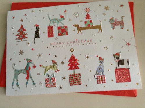 uninterrupted-mournfulness:Here is my beautiful Christmas Card. It’s amazing, thank you so much @d