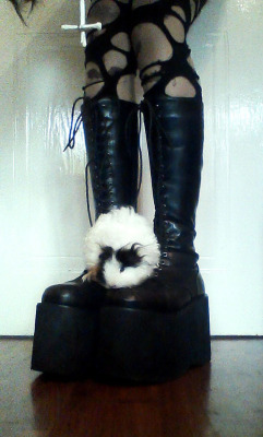 sadgh0sts:  i got new boots and pretty baby luna sioux approves ♥ 