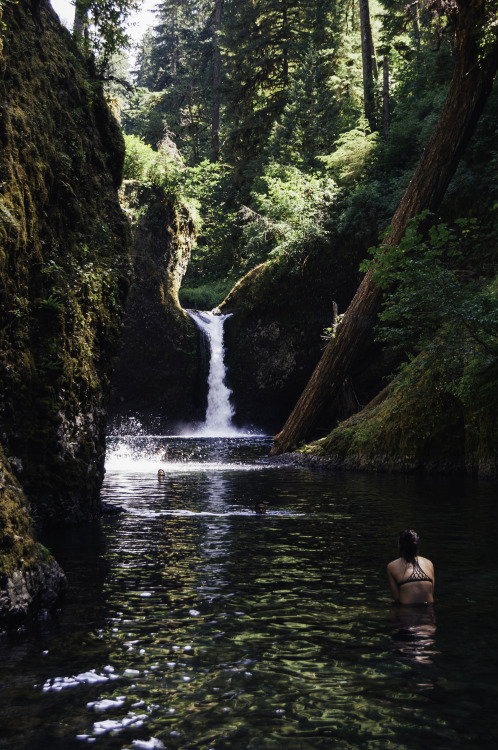 kovthephotographer:Eagle Creek, OregonPunchbowl Falls, Metlako Falls, Eagle Creek Canyon.